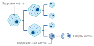 Немелкоклеточный рак легкого (НМРЛ)
