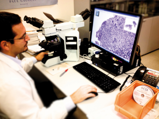 Морфологическая диагностика