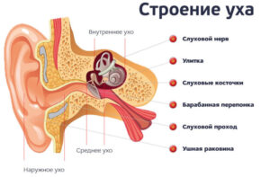 Причины, симптомы и лечение головокружения