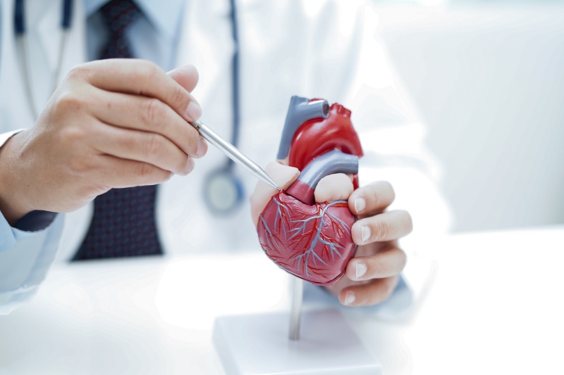 Рак сердца-5