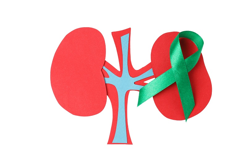 Гипернефроидная опухоль-5 Гипернефроидная опухоль-5